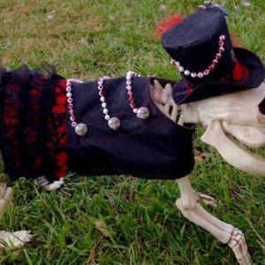 Steampunk and Gothic Dog Costumes