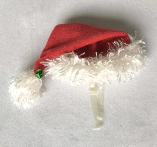 Santa Dog Costume