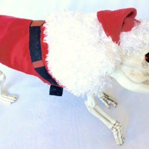 Santa Dog Costume