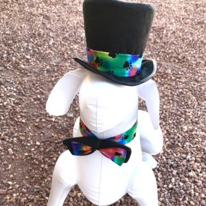 Rainbow Paws Top Hat and Bow Tie for Dogs