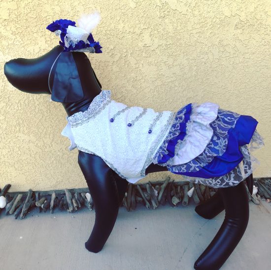 Nautical Blue Steampunk Dog Costume