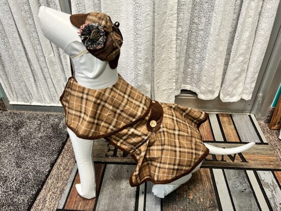 Female Sherlock Holmes Dog Costume set