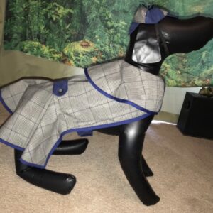 Sherlock Holmes Dog Costume Style