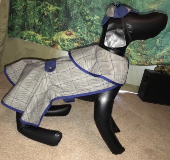 Sherlock Holmes Dog Costume Style