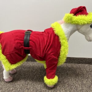 Grinch Dog Costume for all sizes