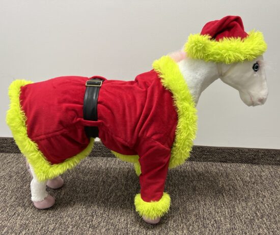 Grinch Dog Costume for all sizes