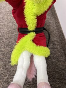 Grinch dog costume underside 