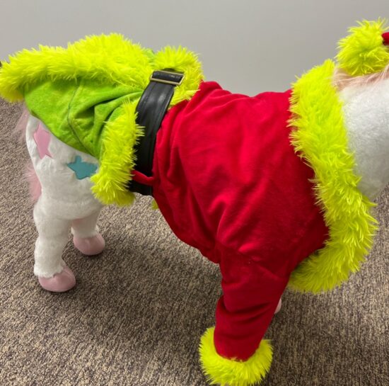 Grinch Costume tucked for potty