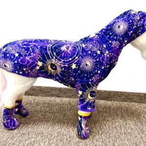 Horoscope Wizard Fleece Dog Coat Set