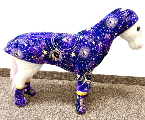 Horoscope Wizard Fleece Dog Coat Set